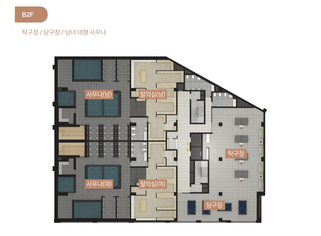 B2F 커뮤니티 - 탁구장, 당구장, 남녀 대형 사우나